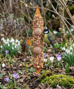 Vogels eten zaden in bloementuin.