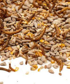 Strooivoer High Energy & No Mess met Meelwormen