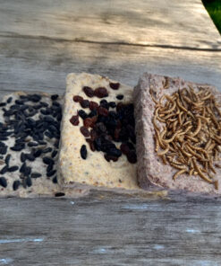 Drie zaden- fruit en meelworm vetblokken op houten tafel.