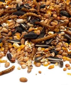 Close_Up_Strooivoer Supreme met Meelwormen