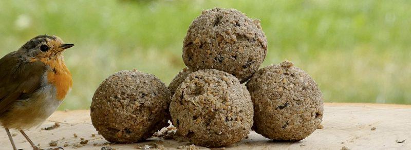 Zelf vogelvoer maken