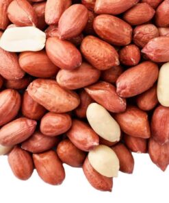 premium gepelde pinda's voor vogels voeren in de tuin