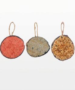 Drie kokosnoten vogelvoer