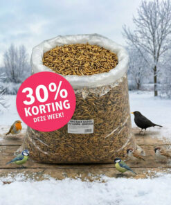 Zak gedroogde larven met 30% korting, vogels erbij.