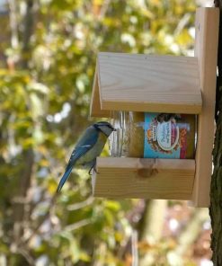 vogelpindakaas vogelvoer kopen pimpelmees