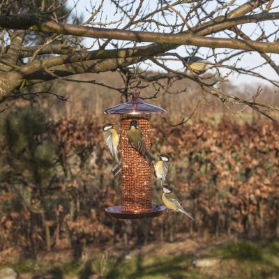 Vogels voeren