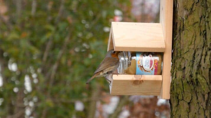 Vogelvriendelijke tuin