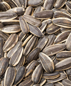 Close-up van zonnebloempitten op een hoop.