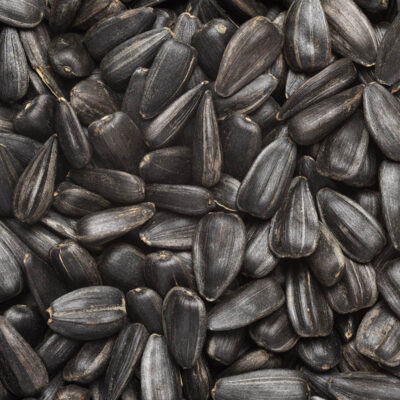 Premium Zwarte Zonnebloempitten