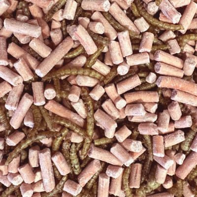 Premium Vetpellets bessen traktatie met gedroogde meelwormen