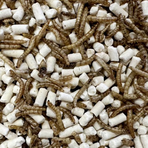 Premium Vetpellets insecten traktatie met gedroogde meelwormen