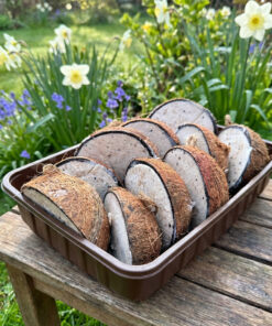 High energy kokosnoten 10 pack