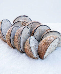 Halve kokosnoten in de sneeuw op een rij