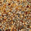 Premium duivenvoer allround mix vogelvoerkopen.nl