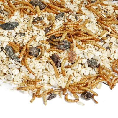 vogels -eten meelwormen