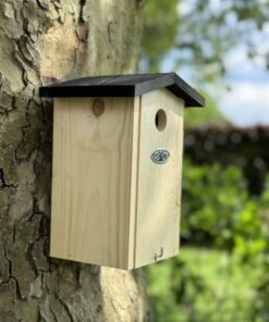 Nestkast Pim voor pimpelmezen - Houten vogelhuisje bevestigd aan een boomstam.