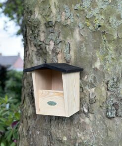 Nestkast Rubi, speciaal ontworpen voor roodborsten, bevestigd aan een boom