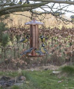Vogels bij voederhuis in boom. De duurzame materialen en het weerbestendige ontwerp maken de Zaadsilo Luna perfect voor gebruik in alle seizoenen.