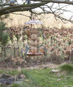 Vogels eten bij vetbol - vogelvoederhuisje in tuin.