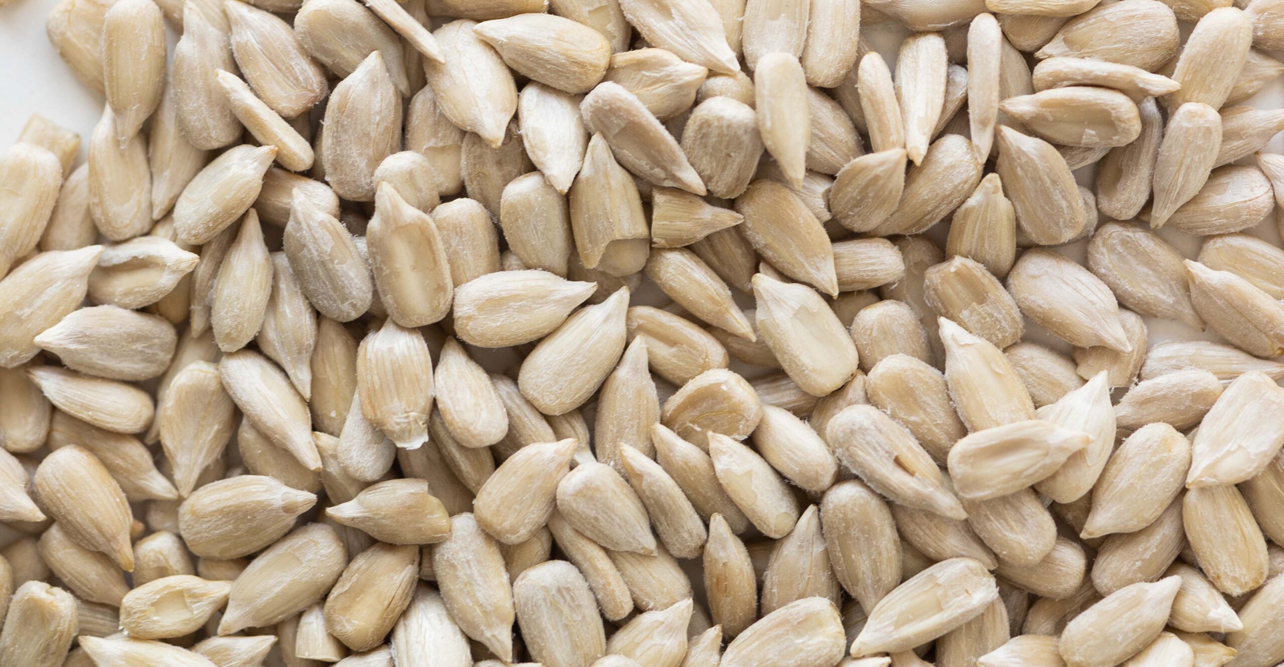 Ongepelde zonnebloempitten vogelvoer kopen