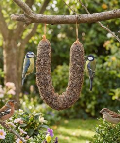 Vogels eten van opgehangen zonnepitslinger in tuin.