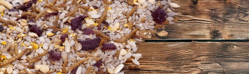 Vogelvoer strooivoer Prestige op houten tafel