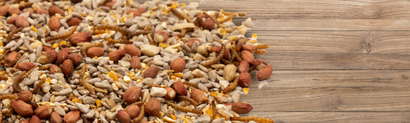 High-Energy-Plus-meelworm-en-Pinda-voor-tuinvogels