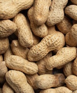 Doppinda voor tuinvogels, premium kwaliteit