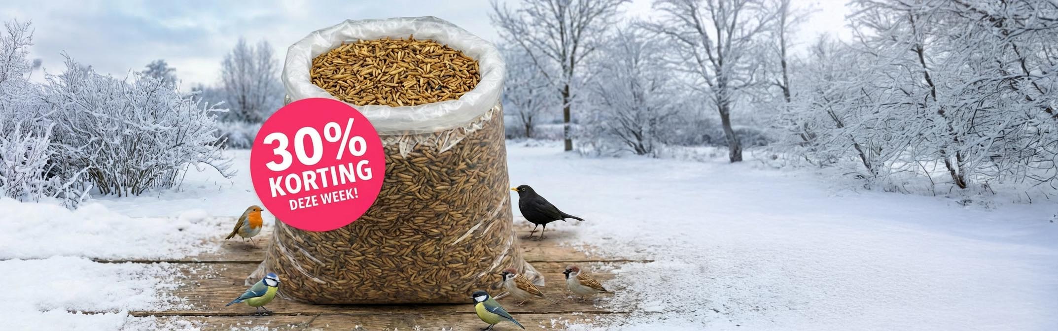 30% korting op black soldier fly larven