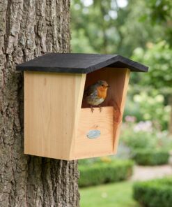 Roodborstje bij Compacte nestkast Ruby voor roodborsten