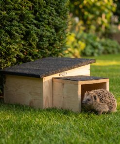 Egel bij egelhuis Eggi in de tuin