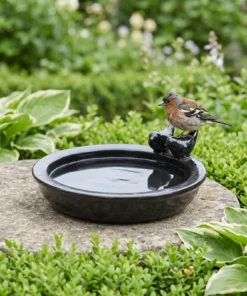 Vink bij een zwart keramieken vogelbad