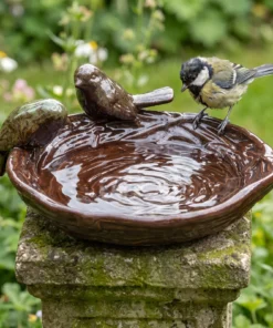 Koolmees bij een nestvormig keramieken vogelbad