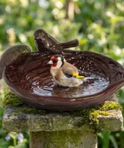 Putter baddert in een nestvormig keramieken vogelbad