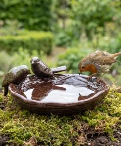 Roodborst drinkt uit een nestvormig keramieken vogelbad
