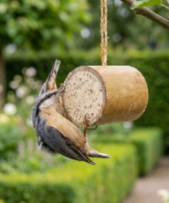 Boomklever eet uit High Energy Bamboo feeder