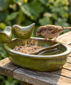 Huismus bij een groene drinkschaal