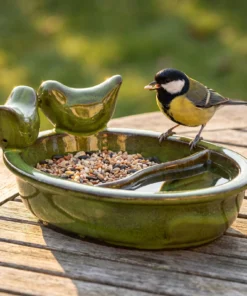 Koolmees drinkt uit een groene keramieken schaal