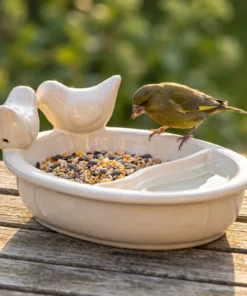 Groenling bij een witte drinkschaal