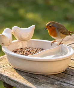 Roodborst bij een witte drinkschaal in de tuin