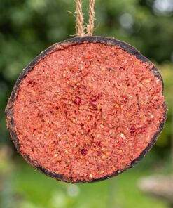 Close-up van halve gevulde kokosnoot met bessen
