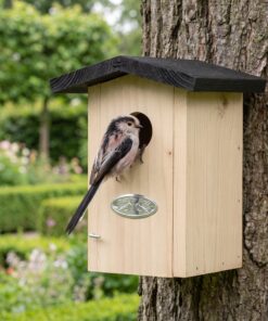 Staartmees bij Nestkast Charl voor winterkoningen