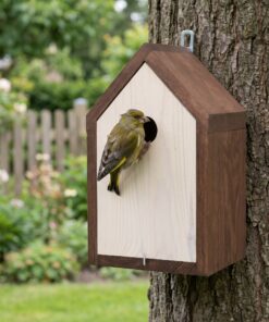 Groenling bij Nestkast Nutan