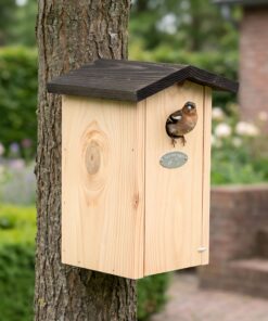 Vink bij Nestkast Pim voor pimpelmezen