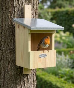 Roodborstje bij Nestkast Rori voor roodborsten