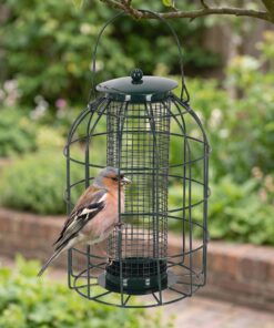 Vink eet uit Notensilo Rosan