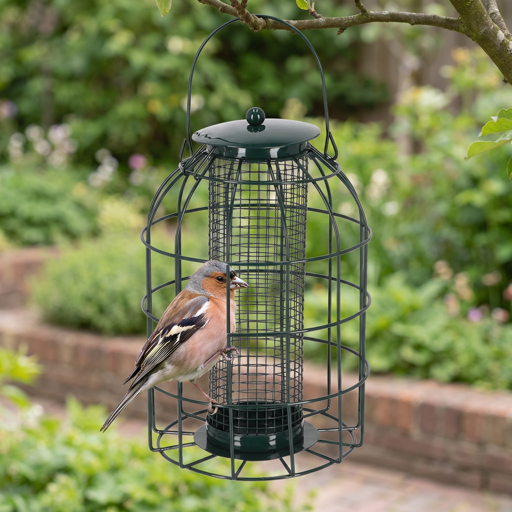 Vink eet uit Notensilo Rosan