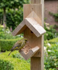 Groenling eet uit Pindakaaspothouder Vuren