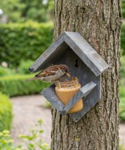 Huismus eet vogelpindakaas uit grijze pothouder