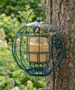 Koolmees eet vogelpindakaas uit pothouder London